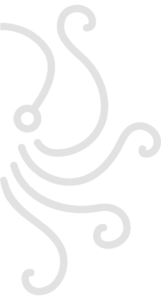 Octonuts Logo