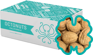 In Shell California Walnuts